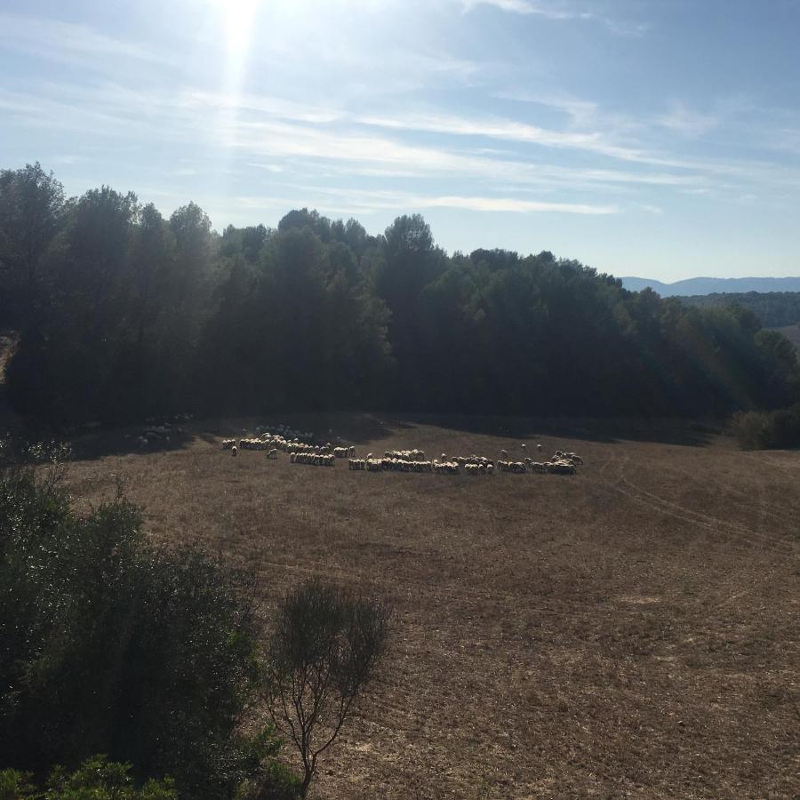 Vi L'art Wine - Only Adults Lodge